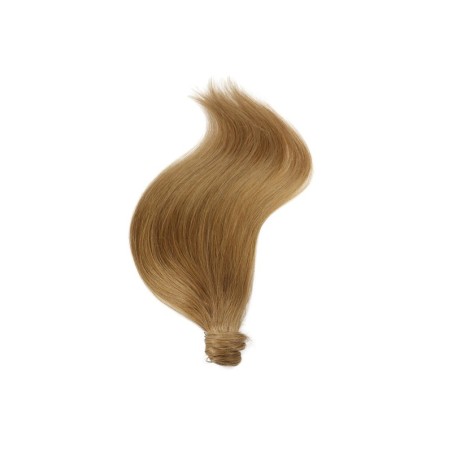 Ponytail · sandy blonde 18